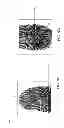 Fig. 10 - Method and device for dual lens fingerprint identification