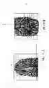 Fig. 12 - Method and device for dual lens fingerprint identification