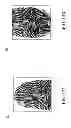 Fig. 13 - Method and device for dual lens fingerprint identification