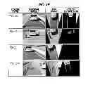 Fig. 07 - Color detector for vehicle