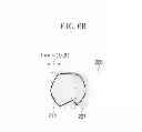 Fig. 09 - Imaging apparatus equipped with illumination optical system having a plurality of optical integrators that guide light