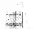 Fig. 16 - Imaging apparatus equipped with illumination optical system having a plurality of optical integrators that guide light
