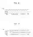 Fig. 07 - Signal processing apparatus, display apparatus having the same, and signal processing method