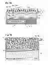 Fig. 02 - Surface enhanced raman spectroscopy on optical resonator (e.g., photonic crystal) surfaces