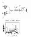 Fig. 08 - Optical coherence tomography using active mode-locking fiber laser