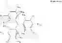 Fig. 22 - PHOTOREFRACTIVE DEVICE CONTAINING A CHROMOPHORE-DOPED POLYMER LAYER AND ITS MANUFACTURING METHOD