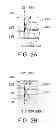 Fig. 03 - Light source module and illumination apparatus having the same