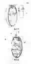 Fig. 05 - Light emitting diode lamp