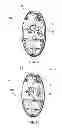 Fig. 06 - Light emitting diode lamp