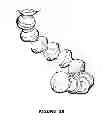 Fig. 28 - Flashlight with mounting apparatus