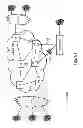 Fig. 02 - Fault tolerant communication in a trill network