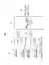 Fig. 04 - Apparatus and method for transmitting audio object