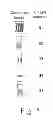 Fig. 06 - Methods and devices for processing scanned book's data
