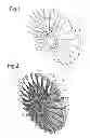 Fig. 02 - ROTOR BEHAVIOUR DETERMINATION