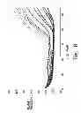 Fig. 11 - Sample Withdrawal and Dispensing Device