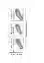 Fig. 07 - Hepatocyte growth factor fragments that function as potent met receptor agonists and antagonists