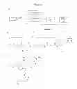 Fig. 06 - TARGETING COMPOUNDS