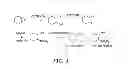 Fig. 04 - ION CHANNEL MODULATING COMPOUNDS AND USES THEREOF