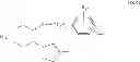 Fig. 30 - ION CHANNEL MODULATING COMPOUNDS AND USES THEREOF