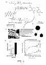 Fig. 04 - Nanocell Drug Delivery System