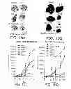 Fig. 11 - Nanocell Drug Delivery System