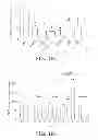 Fig. 12 - Nanocell Drug Delivery System