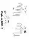 Fig. 14 - Nanocell Drug Delivery System
