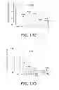 Fig. 17 - Nanocell Drug Delivery System