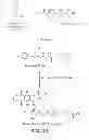 Fig. 18 - Nanocell Drug Delivery System