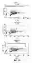 Fig. 08 - METHODS FOR TREATING VIRAL CONDITIONS