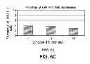 Fig. 09 - METHODS FOR TREATING VIRAL CONDITIONS