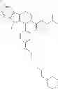 Fig. 771 - METHODS FOR TREATING VIRAL CONDITIONS