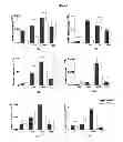 Fig. 06 - METHOD OF MANUFACTURING A SCAFFOLD FOR TISSUE ENGINEERING OR REPAIR