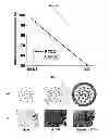 Fig. 09 - METHOD OF MANUFACTURING A SCAFFOLD FOR TISSUE ENGINEERING OR REPAIR
