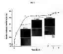 Fig. 10 - METHOD OF MANUFACTURING A SCAFFOLD FOR TISSUE ENGINEERING OR REPAIR