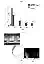 Fig. 15 - METHOD OF MANUFACTURING A SCAFFOLD FOR TISSUE ENGINEERING OR REPAIR