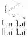 Fig. 16 - METHOD OF MANUFACTURING A SCAFFOLD FOR TISSUE ENGINEERING OR REPAIR
