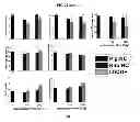 Fig. 33 - METHOD OF MANUFACTURING A SCAFFOLD FOR TISSUE ENGINEERING OR REPAIR