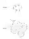 Fig. 02 - Optically sensitive cell network