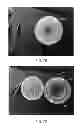 Fig. 09 - Optically sensitive cell network