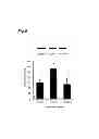 Fig. 06 - Intestinal protectant