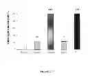Fig. 06 - Maturation of gastrointestinal tract