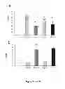 Fig. 08 - Maturation of gastrointestinal tract