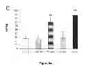 Fig. 09 - Maturation of gastrointestinal tract