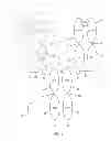 Fig. 02 - SOLUBLE INTERLEUKIN-20 RECEPTOR