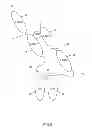 Fig. 06 - SOLUBLE INTERLEUKIN-20 RECEPTOR