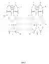Fig. 08 - SOLUBLE INTERLEUKIN-20 RECEPTOR