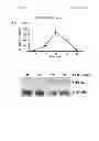 Fig. 02 - Cancer methods