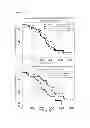 Fig. 09 - METHOD TO IDENTIFY A PATIENT WITH AN INCREASED LIKELIHOOD OF RESPONDING TO AN ANTI-CANCER THERAPY