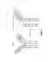 Fig. 02 - Immunoglobulin chimeric monomer-dimer hybrids